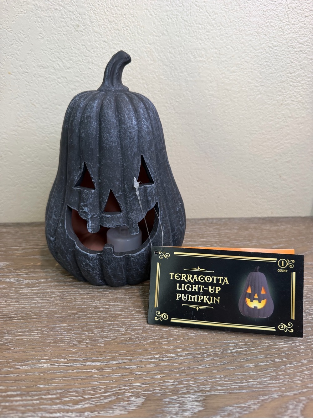 NEW Target Bullseye Playground Terracotta Light-Up Pumpkin